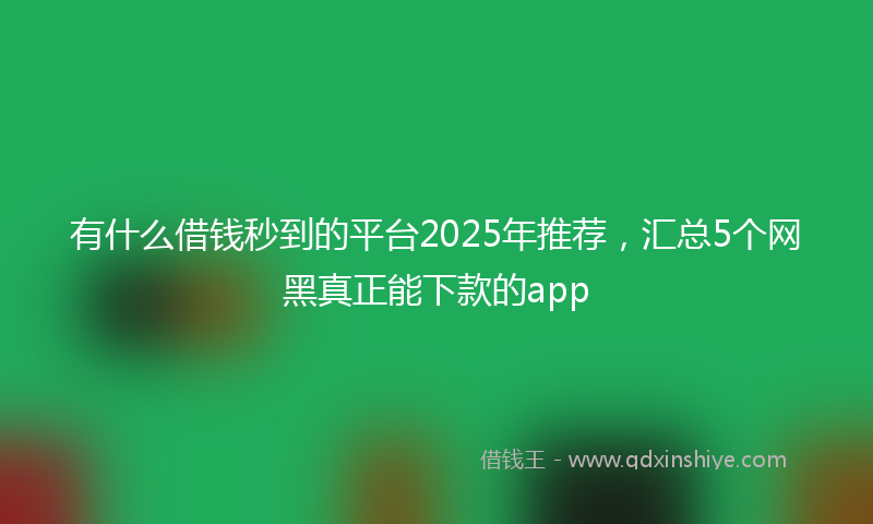 有什么借钱秒到的平台2025年推荐，汇总5个网黑真正能下款的app