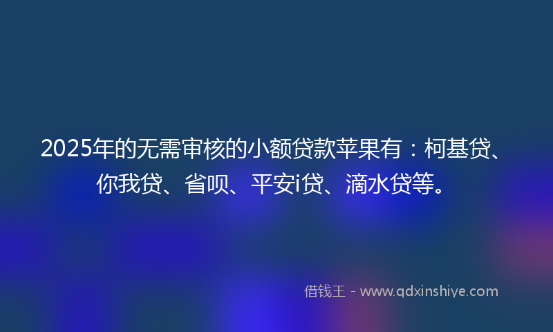 2025年的无需审核的小额贷款苹果有：柯基贷、你我贷、省呗、平安i贷、滴水贷等。