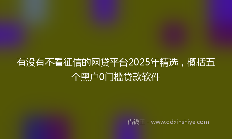 有没有不看征信的网贷平台2025年精选，概括五个黑户0门槛贷款软件