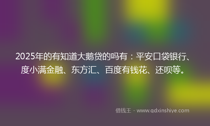 2025年的有知道大鹅贷的吗有：平安口袋银行、度小满金融、东方汇、百度有钱花、还呗等。