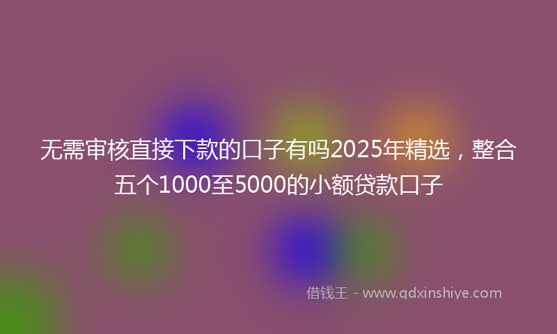 无需审核直接下款的口子有吗2025年精选，整合五个1000至5000的小额贷款口子