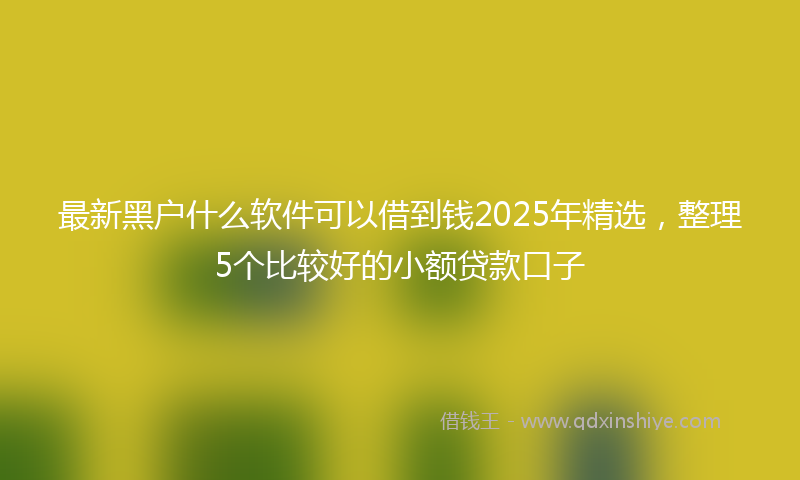 最新黑户什么软件可以借到钱2025年精选，整理5个比较好的小额贷款口子