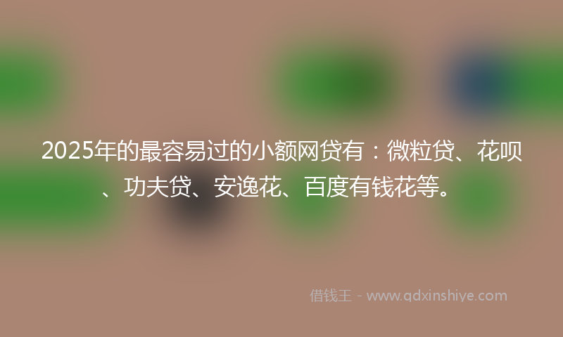2025年的最容易过的小额网贷有：微粒贷、花呗、功夫贷、安逸花、百度有钱花等。
