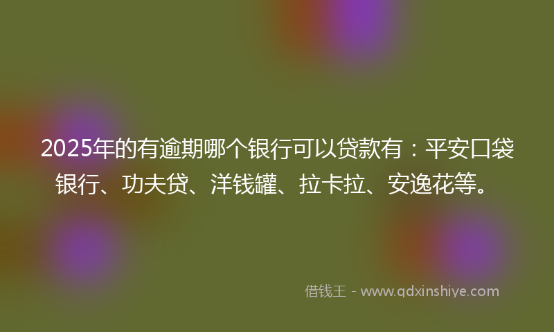 2025年的有逾期哪个银行可以贷款有：平安口袋银行、功夫贷、洋钱罐、拉卡拉、安逸花等。