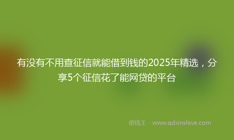 有没有不用查征信就能借到钱的2025年精选，分享5个征信花了能网贷的平台