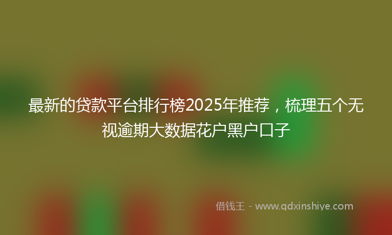 最新的贷款平台排行榜2025年推荐，梳理五个无视逾期大数据花户黑户口子