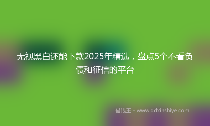无视黑白还能下款2025年精选，盘点5个不看负债和征信的平台