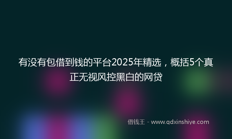 有没有包借到钱的平台2025年精选，概括5个真正无视风控黑白的网贷
