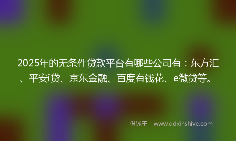 2025年的无条件贷款平台有哪些公司有：东方汇、平安i贷、京东金融、百度有钱花、e微贷等。