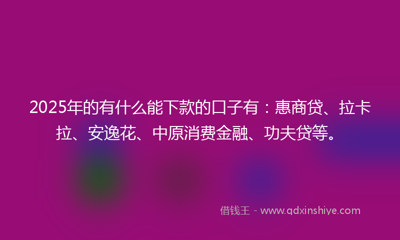 2025年的有什么能下款的口子有：惠商贷、拉卡拉、安逸花、中原消费金融、功夫贷等。
