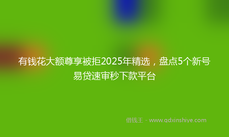 有钱花大额尊享被拒2025年精选，盘点5个新号易贷速审秒下款平台