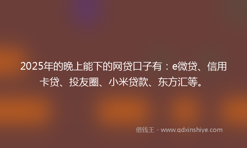 2025年的晚上能下的网贷口子有：e微贷、信用卡贷、投友圈、小米贷款、东方汇等。