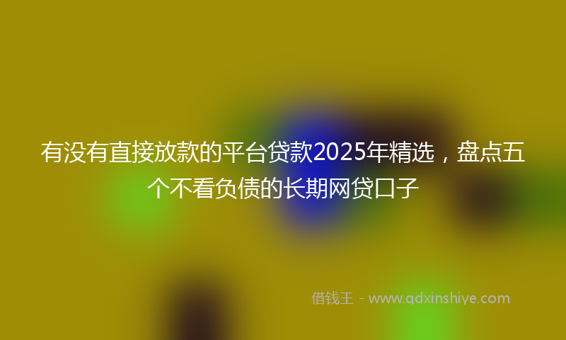 有没有直接放款的平台贷款2025年精选，盘点五个不看负债的长期网贷口子