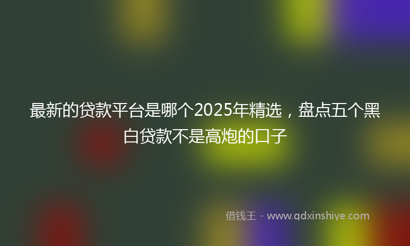 最新的贷款平台是哪个2025年精选，盘点五个黑白贷款不是高炮的口子