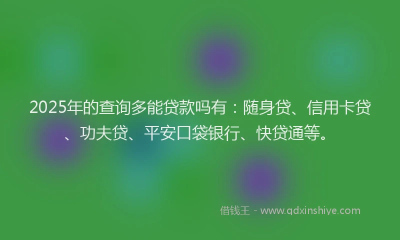 2025年的查询多能贷款吗有：随身贷、信用卡贷、功夫贷、平安口袋银行、快贷通等。