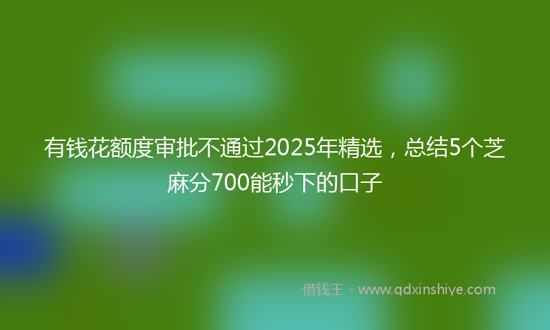 有钱花额度审批不通过2025年精选，总结5个芝麻分700能秒下的口子