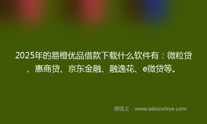 2025年的易橙优品借款下载什么软件有：微粒贷、惠商贷、京东金融、融逸花、e微贷等。