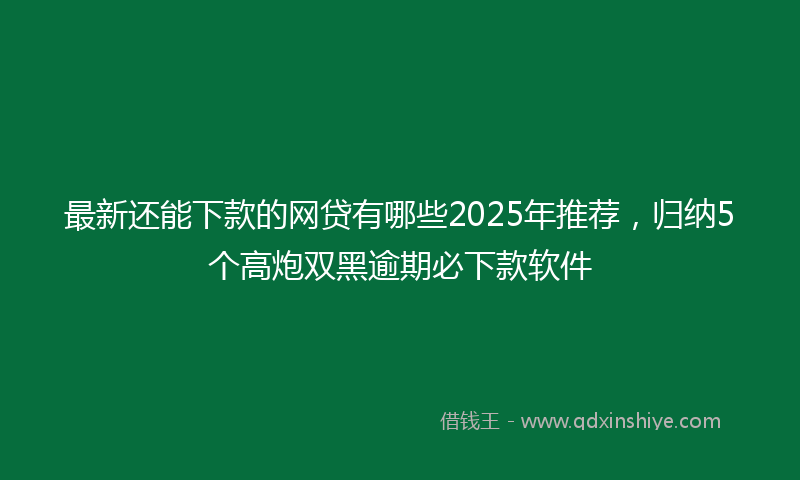 最新还能下款的网贷有哪些2025年推荐，归纳5个高炮双黑逾期必下款软件