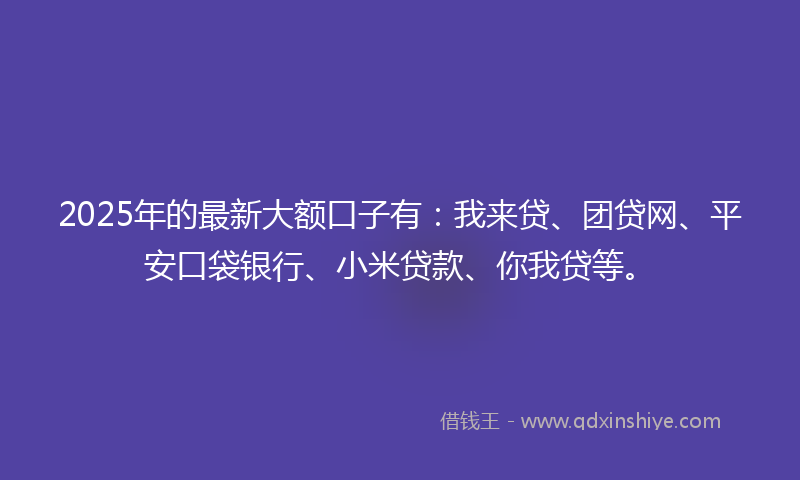 2025年的最新大额口子有：我来贷、团贷网、平安口袋银行、小米贷款、你我贷等。