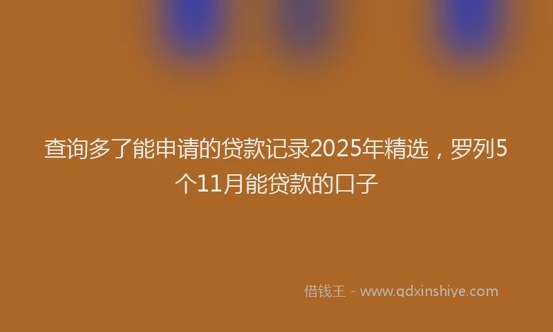 查询多了能申请的贷款记录2025年精选，罗列5个11月能贷款的口子
