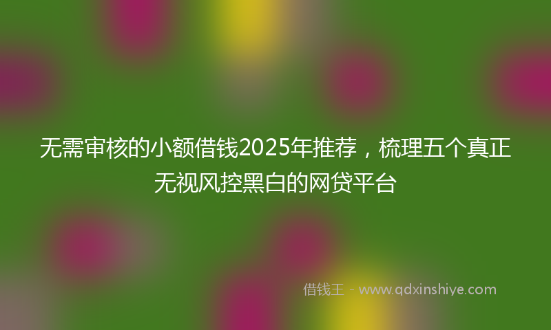 无需审核的小额借钱2025年推荐，梳理五个真正无视风控黑白的网贷平台