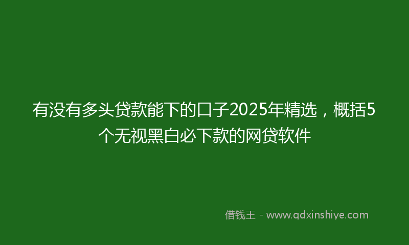 有没有多头贷款能下的口子2025年精选，概括5个无视黑白必下款的网贷软件