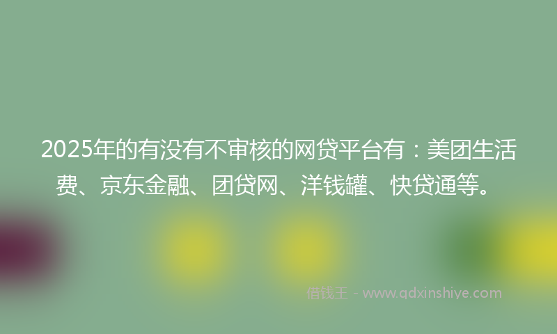 2025年的有没有不审核的网贷平台有：美团生活费、京东金融、团贷网、洋钱罐、快贷通等。