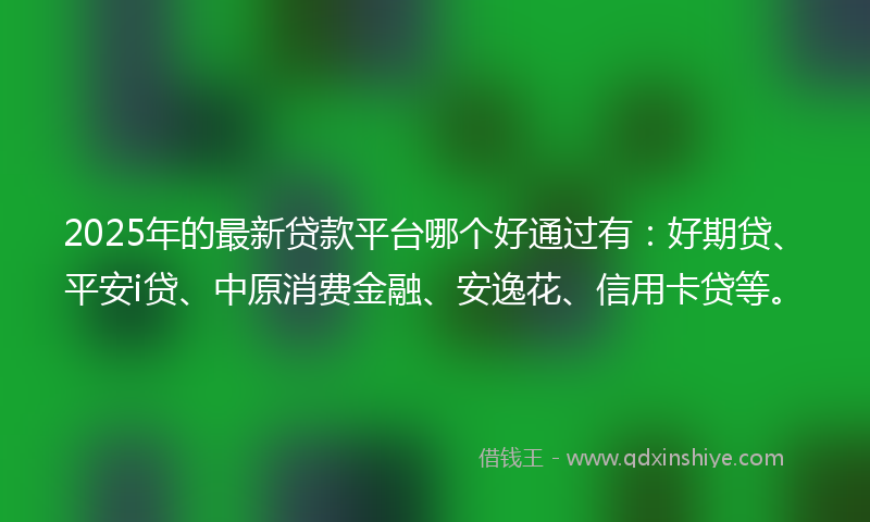 2025年的最新贷款平台哪个好通过有：好期贷、平安i贷、中原消费金融、安逸花、信用卡贷等。