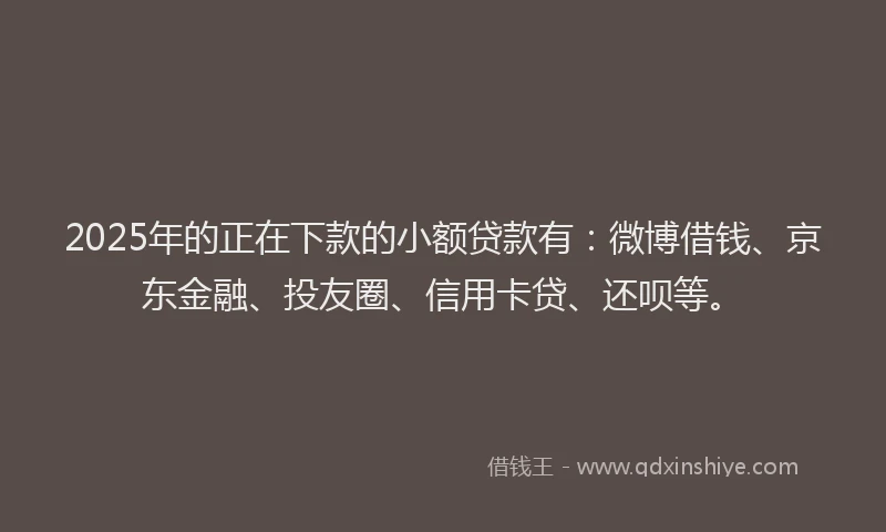 2025年的正在下款的小额贷款有：微博借钱、京东金融、投友圈、信用卡贷、还呗等。