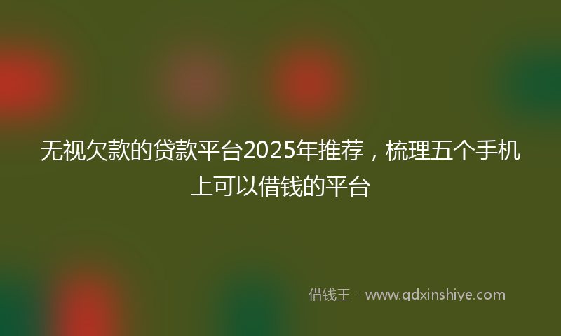 无视欠款的贷款平台2025年推荐，梳理五个手机上可以借钱的平台