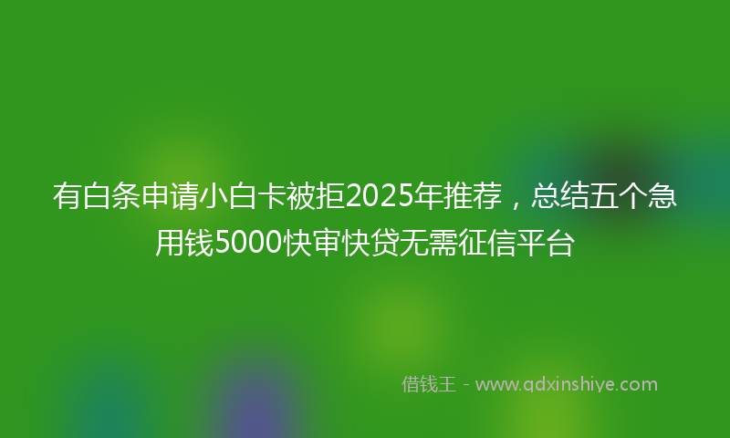 有白条申请小白卡被拒2025年推荐，总结五个急用钱5000快审快贷无需征信平台