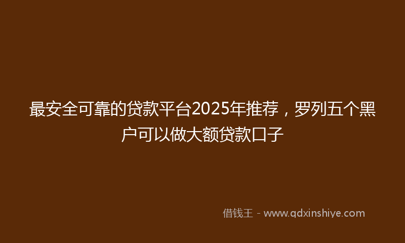 最安全可靠的贷款平台2025年推荐，罗列五个黑户可以做大额贷款口子