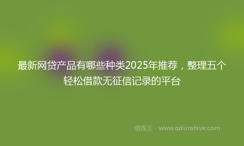 最新网贷产品有哪些种类2025年推荐，整理五个轻松借款无征信记录的平台