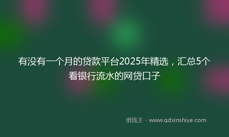 有没有一个月的贷款平台2025年精选，汇总5个看银行流水的网贷口子