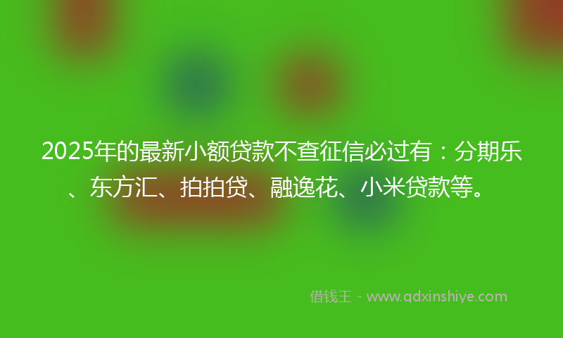 2025年的最新小额贷款不查征信必过有：分期乐、东方汇、拍拍贷、融逸花、小米贷款等。