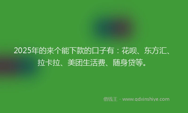 2025年的来个能下款的口子有：花呗、东方汇、拉卡拉、美团生活费、随身贷等。