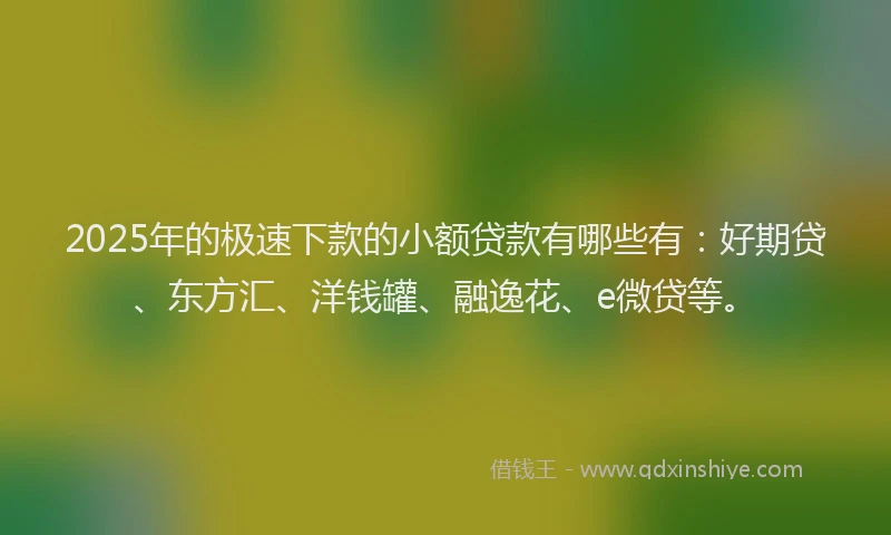 2025年的极速下款的小额贷款有哪些有：好期贷、东方汇、洋钱罐、融逸花、e微贷等。