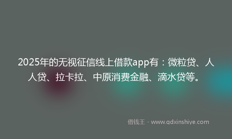 2025年的无视征信线上借款app有：微粒贷、人人贷、拉卡拉、中原消费金融、滴水贷等。