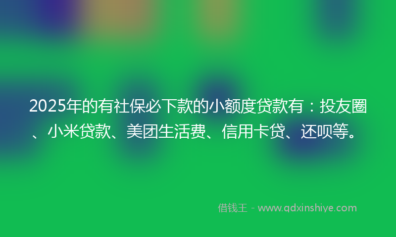 2025年的有社保必下款的小额度贷款有：投友圈、小米贷款、美团生活费、信用卡贷、还呗等。
