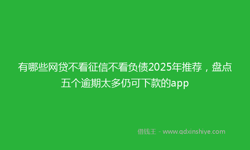 有哪些网贷不看征信不看负债2025年推荐，盘点五个逾期太多仍可下款的app