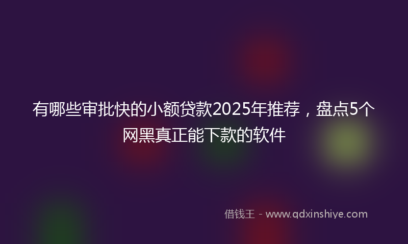 有哪些审批快的小额贷款2025年推荐，盘点5个网黑真正能下款的软件