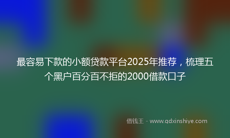 最容易下款的小额贷款平台2025年推荐，梳理五个黑户百分百不拒的2000借款口子
