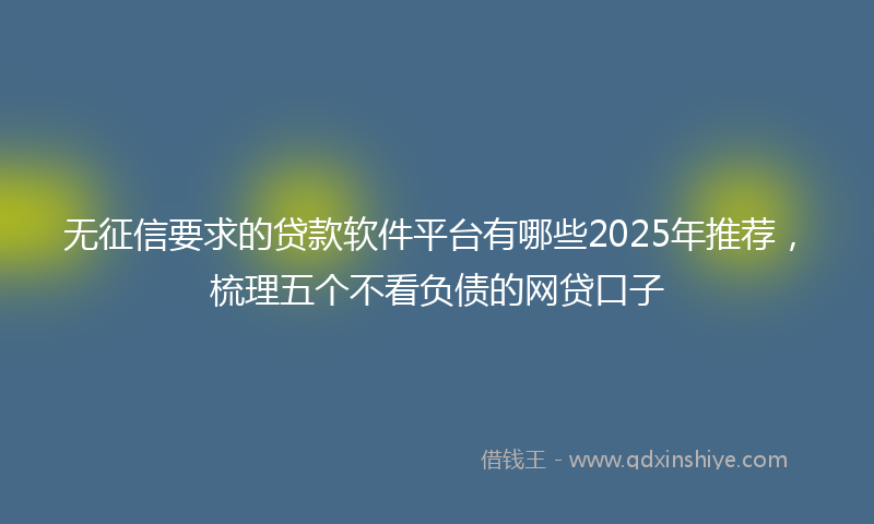 无征信要求的贷款软件平台有哪些2025年推荐，梳理五个不看负债的网贷口子