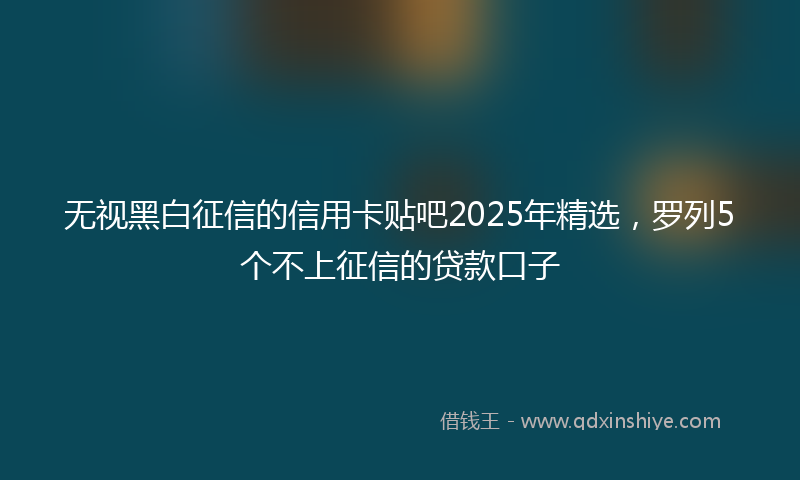 无视黑白征信的信用卡贴吧2025年精选，罗列5个不上征信的贷款口子