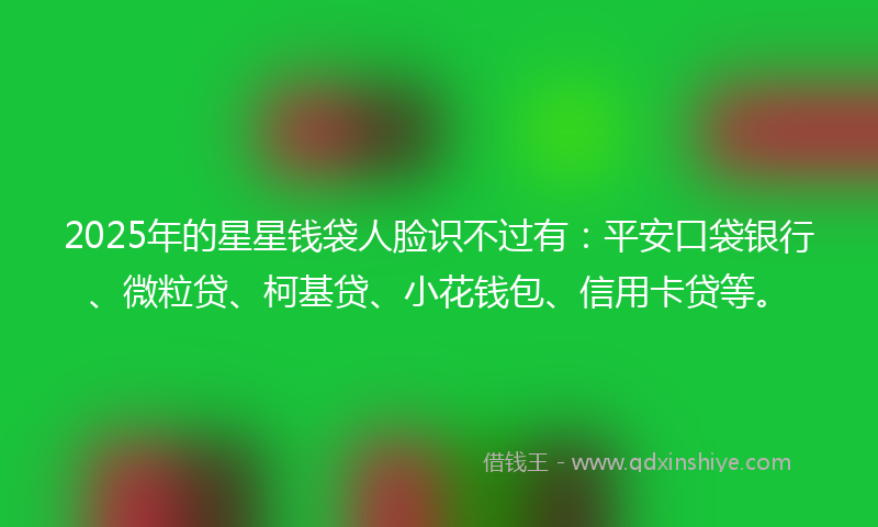 2025年的星星钱袋人脸识不过有：平安口袋银行、微粒贷、柯基贷、小花钱包、信用卡贷等。