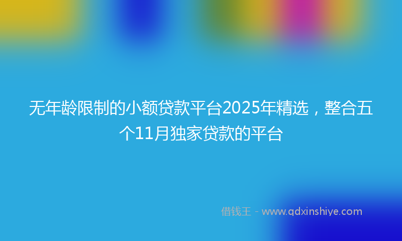 无年龄限制的小额贷款平台2025年精选，整合五个11月独家贷款的平台