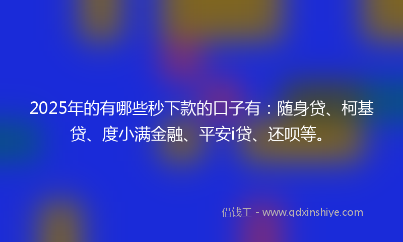 2025年的有哪些秒下款的口子有：随身贷、柯基贷、度小满金融、平安i贷、还呗等。