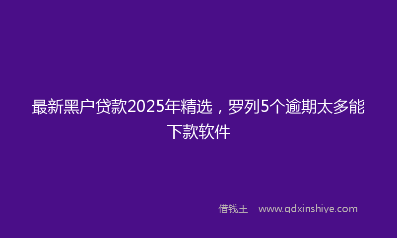 最新黑户贷款2025年精选，罗列5个逾期太多能下款软件