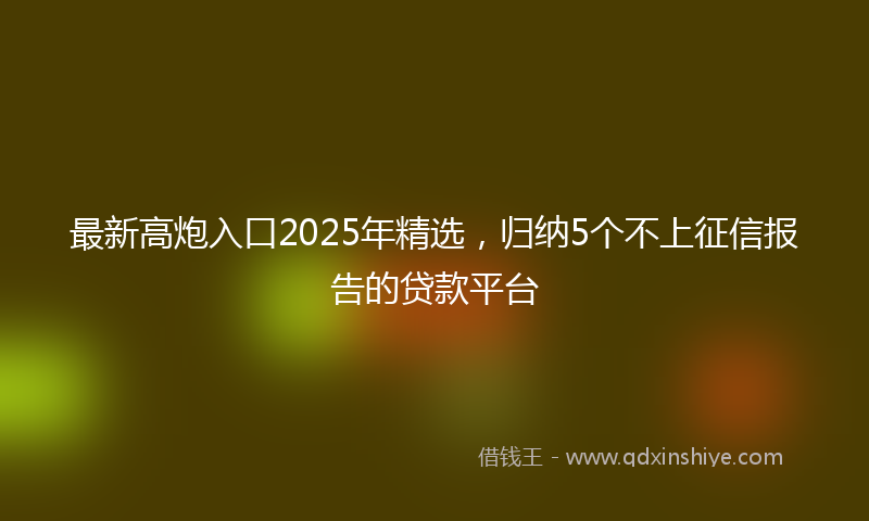 最新高炮入口2025年精选，归纳5个不上征信报告的贷款平台