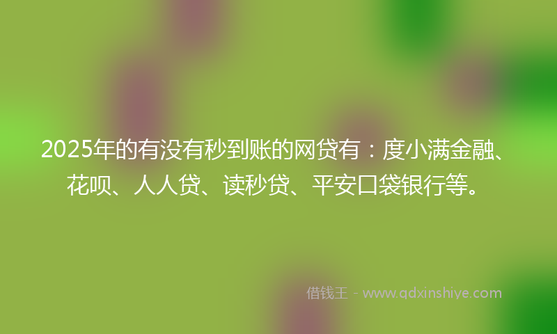 2025年的有没有秒到账的网贷有：度小满金融、花呗、人人贷、读秒贷、平安口袋银行等。
